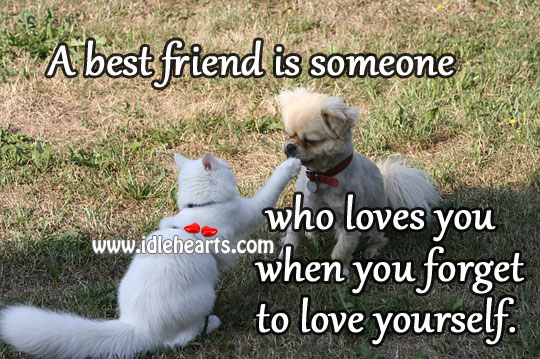 A best friend is someone who loves you when you forget to love yourself. Best Friend Quotes Image