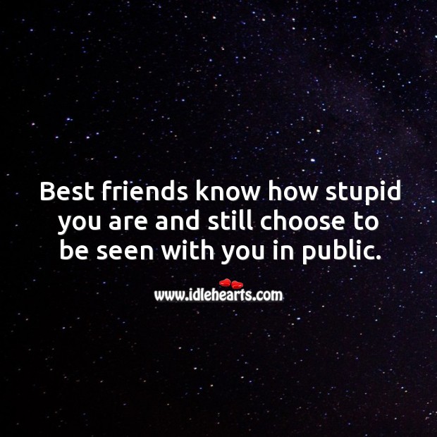 Best friends know how stupid you are and still choose to be seen with you in public. Best Friend Quotes Image