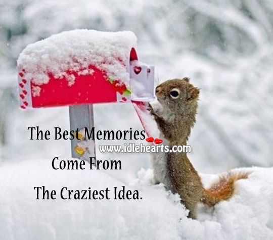 The best memories come from the craziest idea. - IdleHearts