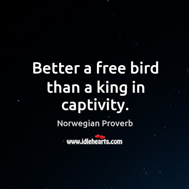 Better a free bird than a king in captivity. Norwegian Proverbs Image