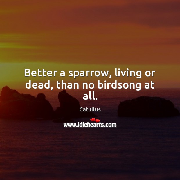 Better a sparrow, living or dead, than no birdsong at all. Catullus Picture Quote