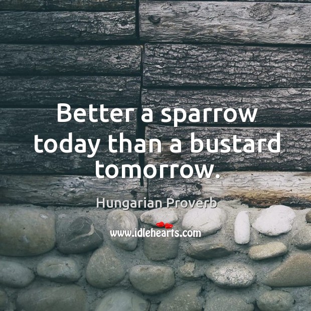 Better a sparrow today than a bustard tomorrow. Image