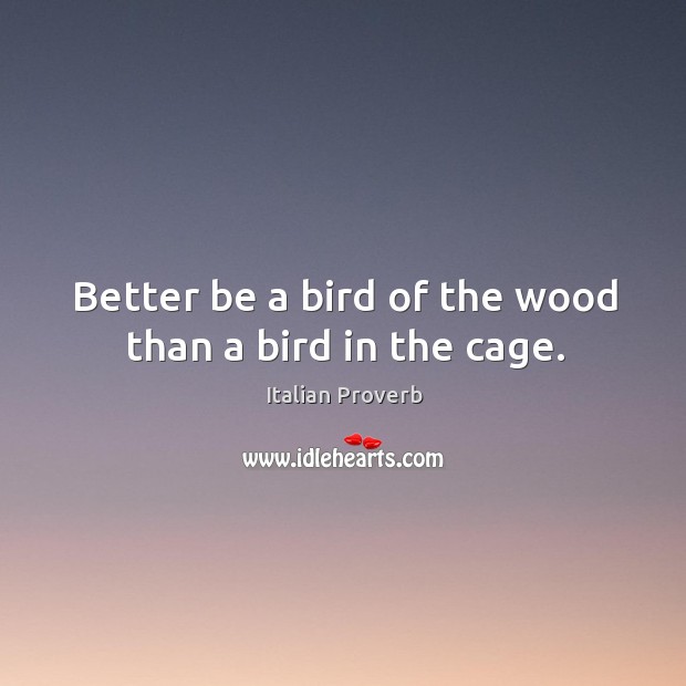 Better be a bird of the wood than a bird in the cage. Image