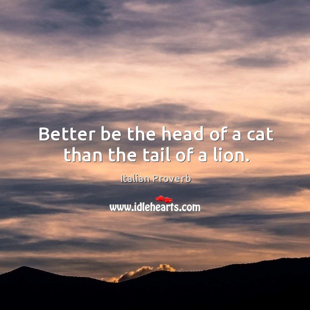 Better be the head of a cat than the tail of a lion. Image