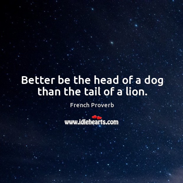 Better be the head of a dog than the tail of a lion. Image