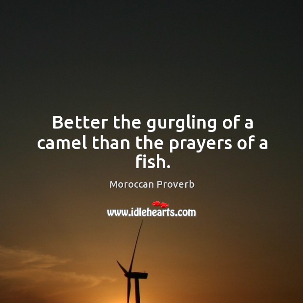 Better the gurgling of a camel than the prayers of a fish. Moroccan Proverbs Image