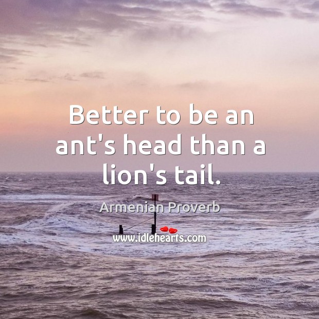 Better to be an ant’s head than a lion’s tail. Armenian Proverbs Image