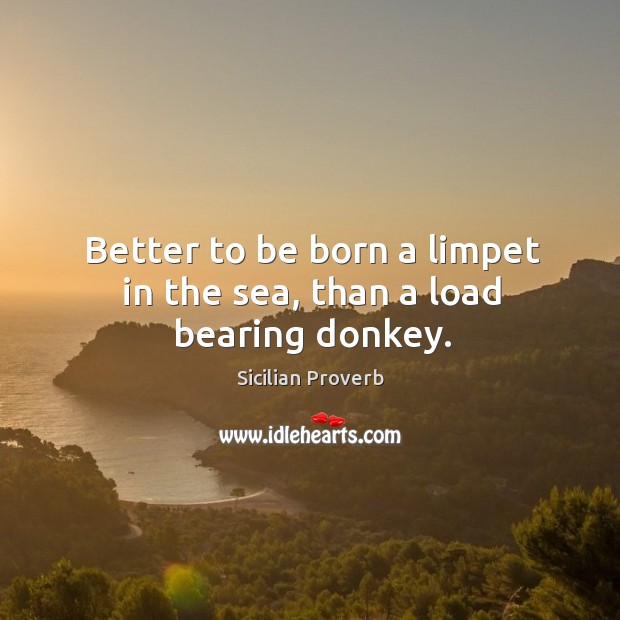 Better to be born a limpet in the sea, than a load bearing donkey. Sicilian Proverbs Image
