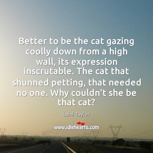 Better to be the cat gazing coolly down from a high wall, Laini Taylor Picture Quote