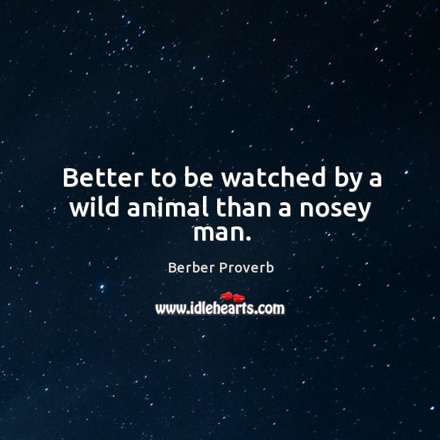 Better to be watched by a wild animal than a nosey man. Berber Proverbs Image