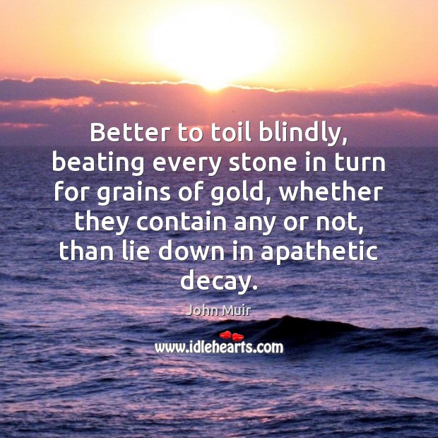 Better to toil blindly, beating every stone in turn for grains of John Muir Picture Quote
