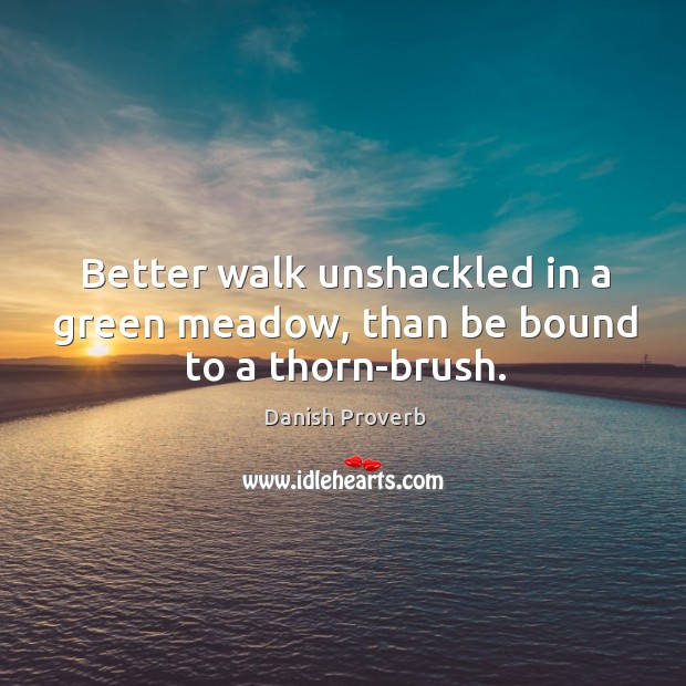 Better walk unshackled in a green meadow, than be bound to a thorn-brush. Image