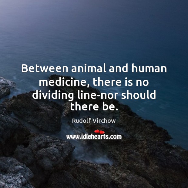 Between animal and human medicine, there is no dividing line-nor should there be. 
