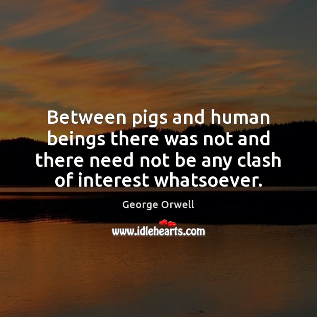 Between pigs and human beings there was not and there need not George Orwell Picture Quote