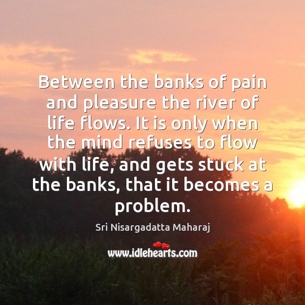 Between the banks of pain and pleasure the river of life flows. Sri Nisargadatta Maharaj Picture Quote