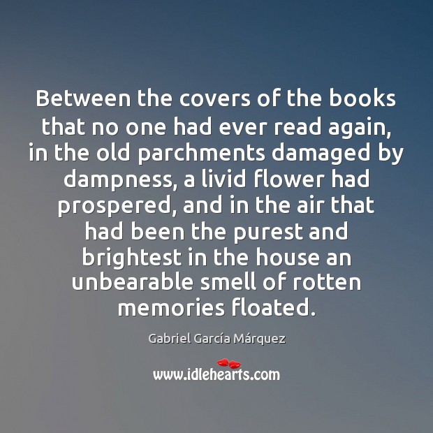 Between the covers of the books that no one had ever read Gabriel García Márquez Picture Quote