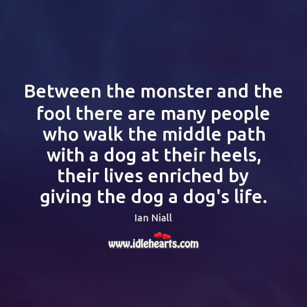 Between the monster and the fool there are many people who walk Ian Niall Picture Quote