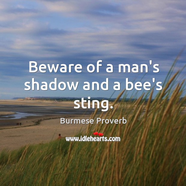 Beware of a man’s shadow and a bee’s sting. Burmese Proverbs Image