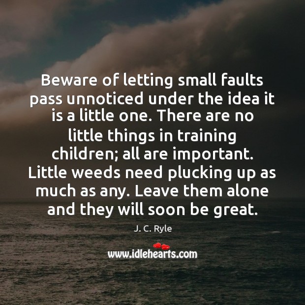 Beware of letting small faults pass unnoticed under the idea it is Image