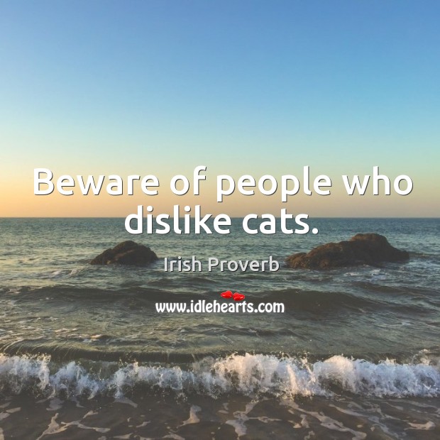 Beware of people who dislike cats. Irish Proverbs Image