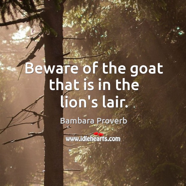 Beware of the goat that is in the lion’s lair. Bambara Proverbs Image