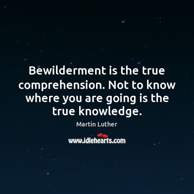 Bewilderment is the true comprehension. Not to know where you are going Martin Luther Picture Quote