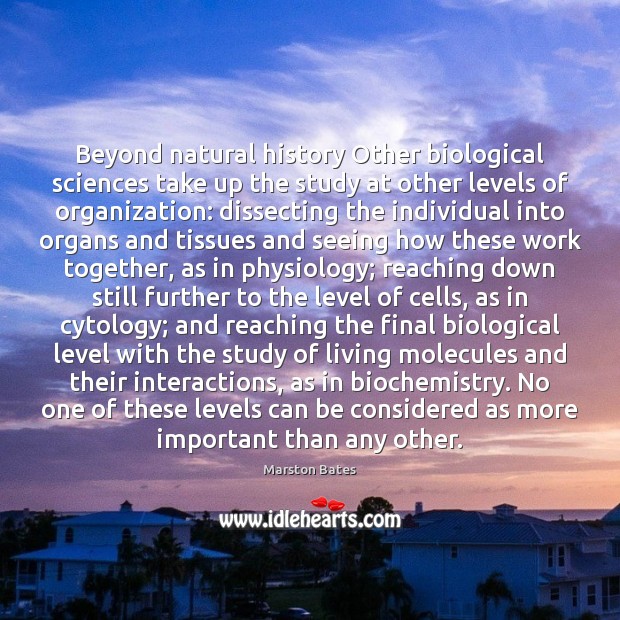 Beyond natural history Other biological sciences take up the study at other Marston Bates Picture Quote