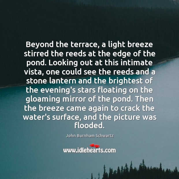 Beyond the terrace, a light breeze stirred the reeds at the edge John Burnham Schwartz Picture Quote