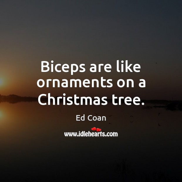 Biceps are like ornaments on a Christmas tree. Ed Coan Picture Quote