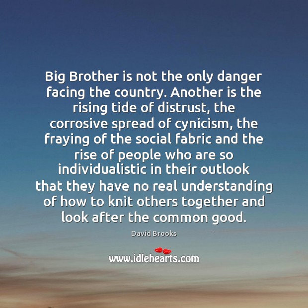 Big Brother is not the only danger facing the country. Another is David Brooks Picture Quote