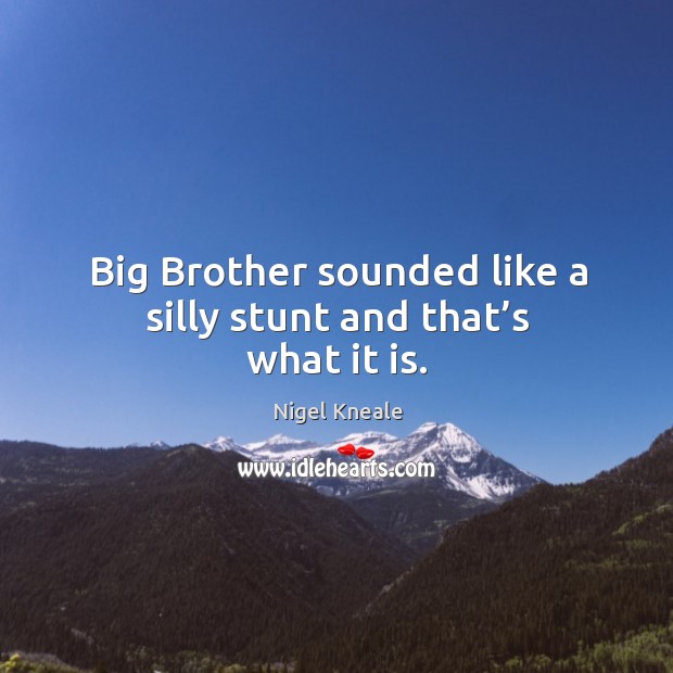 Big brother sounded like a silly stunt and that’s what it is. Brother Quotes Image