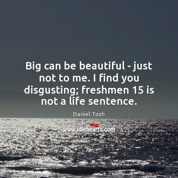 Big can be beautiful – just not to me. I find you Daniel Tosh Picture Quote