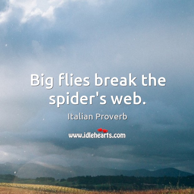 Big flies break the spider’s web. Italian Proverbs Image