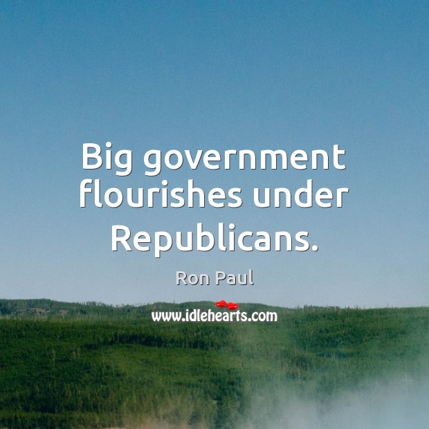 Big government flourishes under Republicans. Ron Paul Picture Quote