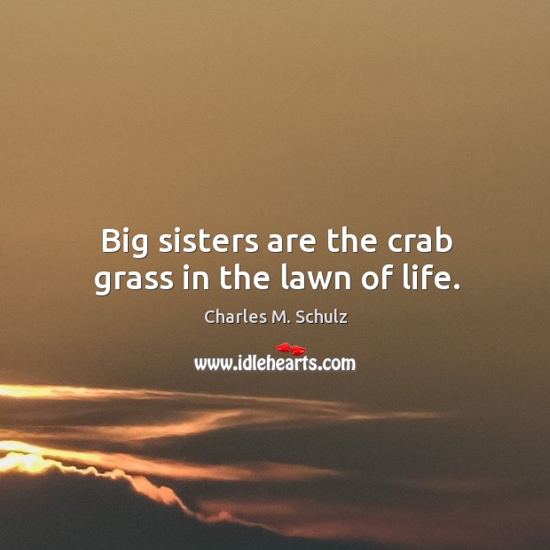 Big sisters are the crab grass in the lawn of life. Charles M. Schulz Picture Quote