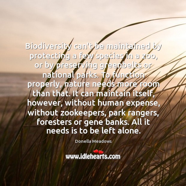Biodiversity can’t be maintained by protecting a few species in a zoo, Donella Meadows Picture Quote