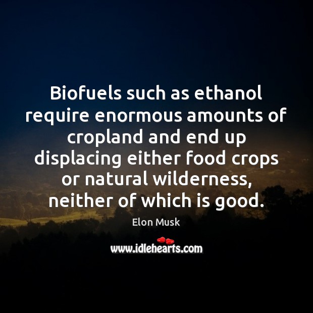 Biofuels such as ethanol require enormous amounts of cropland and end up Elon Musk Picture Quote