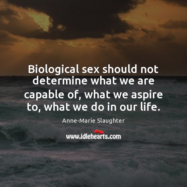 Biological sex should not determine what we are capable of, what we Anne-Marie Slaughter Picture Quote