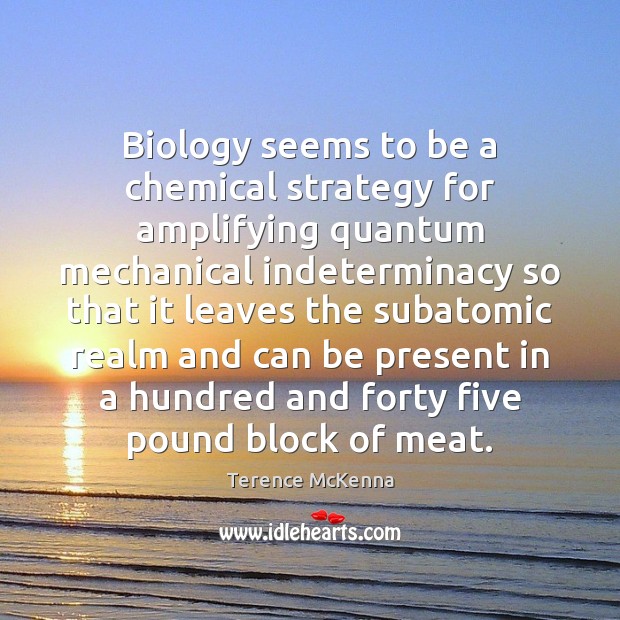 Biology seems to be a chemical strategy for amplifying quantum mechanical indeterminacy Terence McKenna Picture Quote