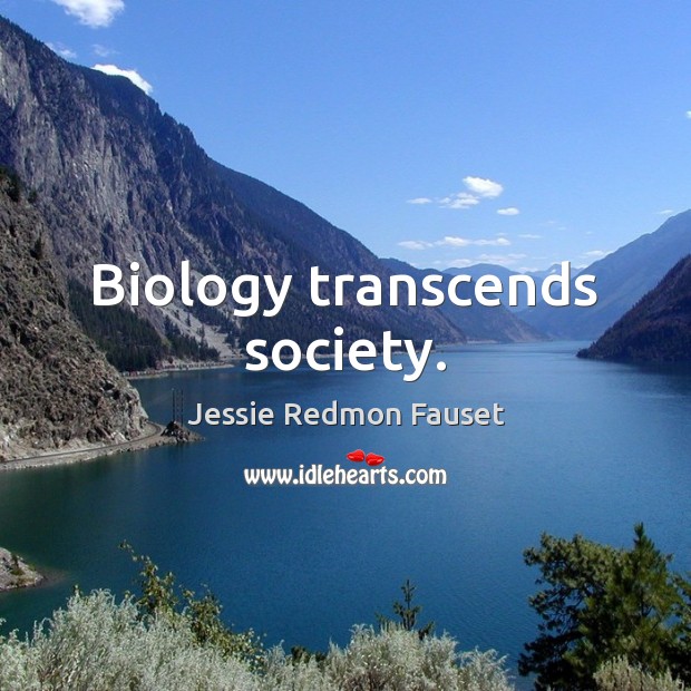 Biology transcends society. Jessie Redmon Fauset Picture Quote