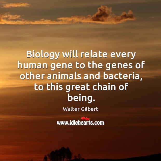 Biology will relate every human gene to the genes of other animals and bacteria, to this great chain of being. Walter Gilbert Picture Quote