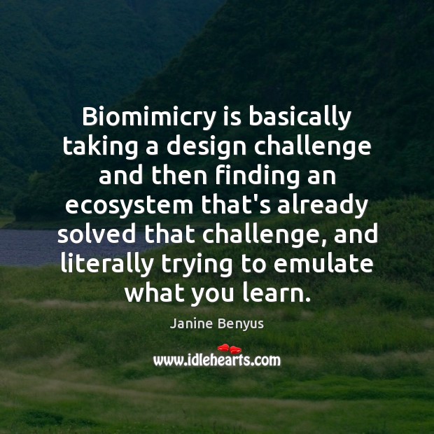 Biomimicry is basically taking a design challenge and then finding an ecosystem 