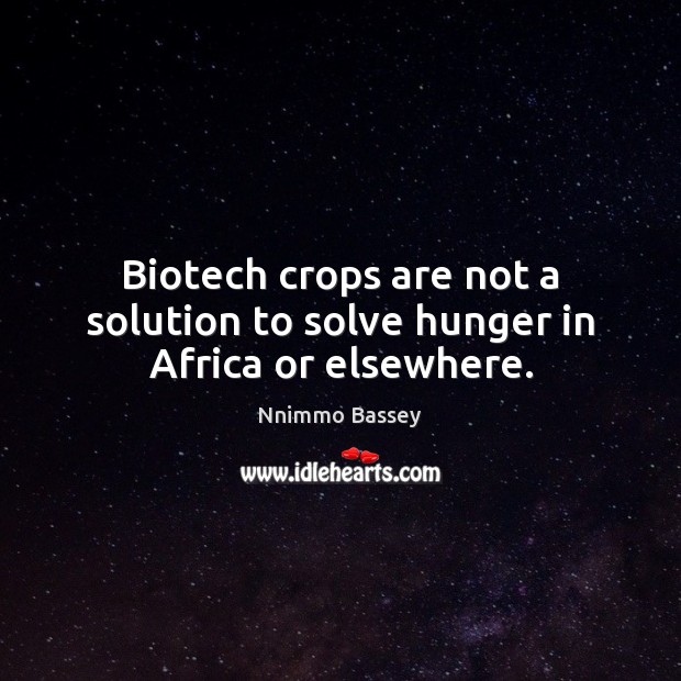 Biotech crops are not a solution to solve hunger in Africa or elsewhere. 