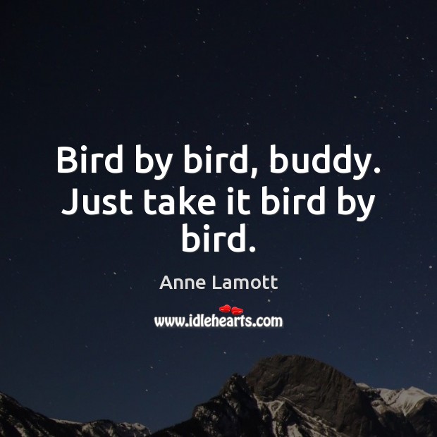 Bird by bird, buddy. Just take it bird by bird. Anne Lamott Picture Quote