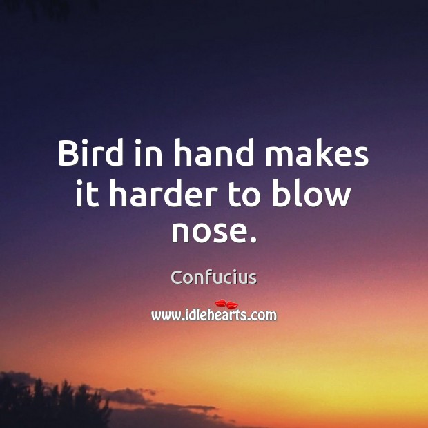 Bird in hand makes it harder to blow nose. Confucius Picture Quote