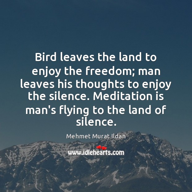 Bird leaves the land to enjoy the freedom; man leaves his thoughts Image