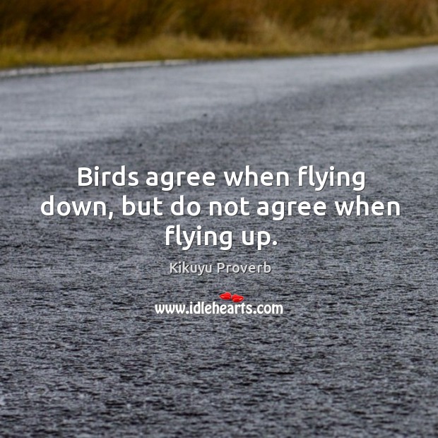 Birds agree when flying down, but do not agree when flying up. Kikuyu Proverbs Image