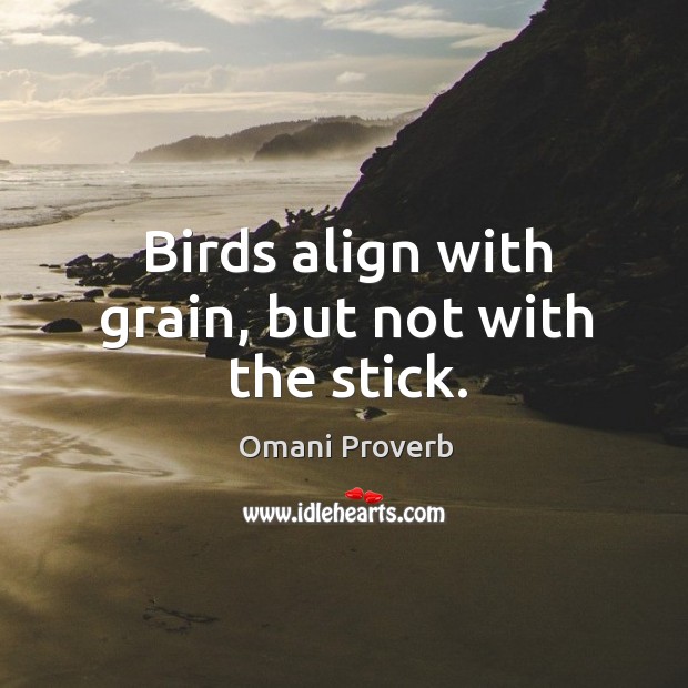 Birds align with grain, but not with the stick. Omani Proverbs Image