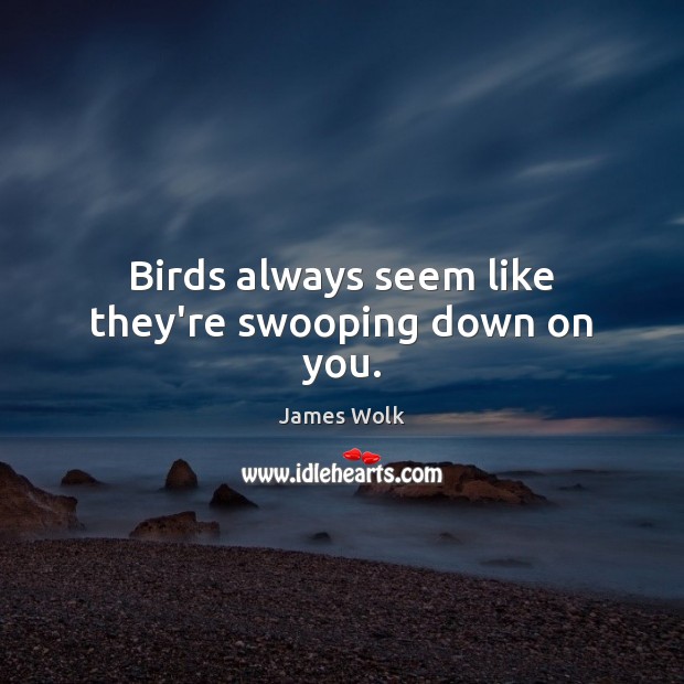 Birds always seem like they’re swooping down on you. James Wolk Picture Quote
