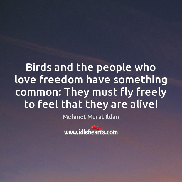 Birds and the people who love freedom have something common: They must Image